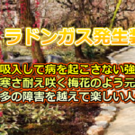 健康器具・自然エネルギ－ラドン使用健康器具とは